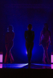Filename=band2.jpg
Filesize=232KiB
Dimensions=2048x1231
Date added=Oct 15, 2023 band2.jpg